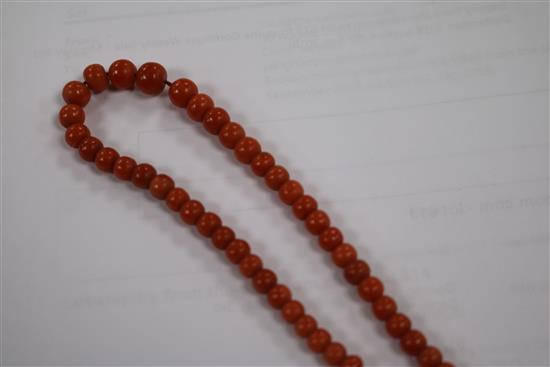 A single strand graduated coral bead necklace, 48cm.